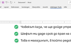 SpellCheckWordAddin_14
